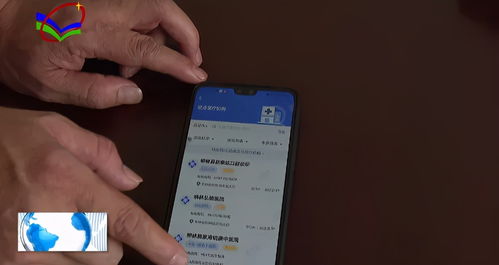 医保电子凭证手机界面